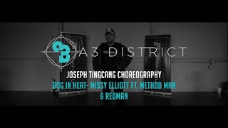 Missy Elliott - Dog In Heat | Joseph Tingcang || A3 DISTRICT