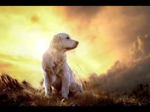 гр.ГороД - Друг /https://vk.com/gr.gorod