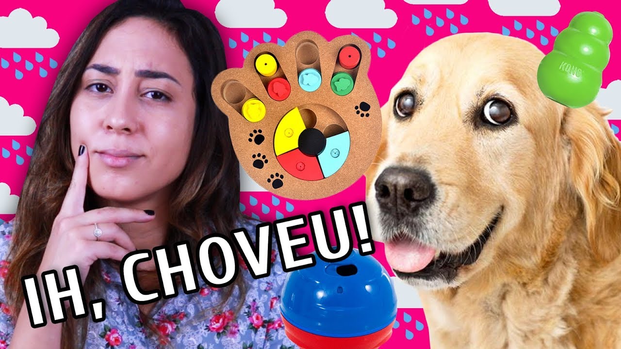 COMO GASTAR ENERGIA DO CACHORRO DENTRO DE CASA