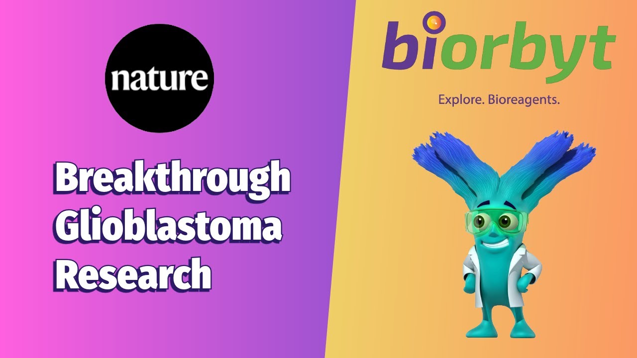 Breakthrough Glioblastoma Research: How Biorbyt's mCherry Tracing Revealed CHRM3 Synaptic Pathways