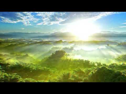 Jungle Medicine - Vatn Leikir