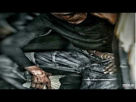 Treeo x AC - Free AC