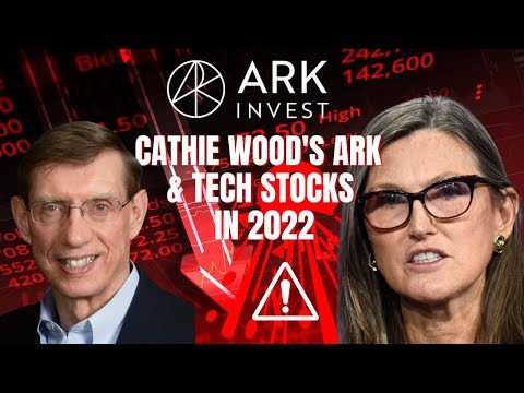 Thumbnail for Macroeconomist David Hunter on Cathie Wood & ARK Invest, Forecast For Growth Stocks | $ARKK by Macroeconomist