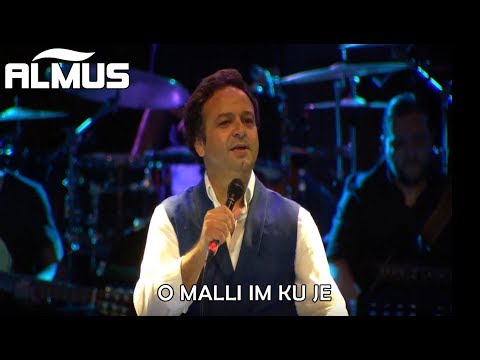 Ardian Trebicka - O malli im ku je  (Official Video)