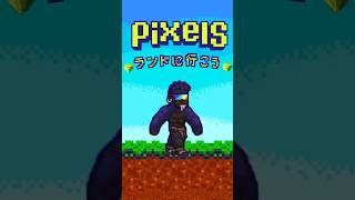 ランドに行こう #pixels