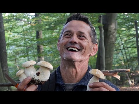 Kralj vrganja dnevno zaradi 150 eura