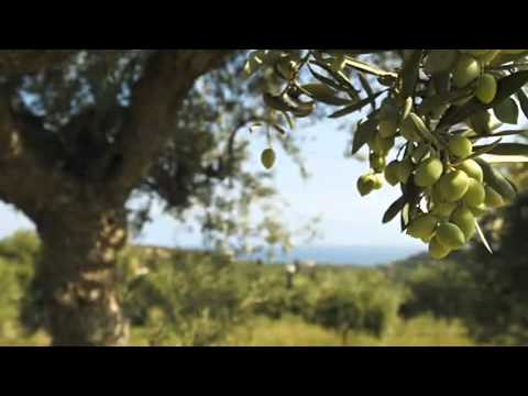 The Smoked Olive Oil