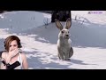 There Are 2 Types of People negaoryx and xQc Last of Us Rabbit Reaction Clip