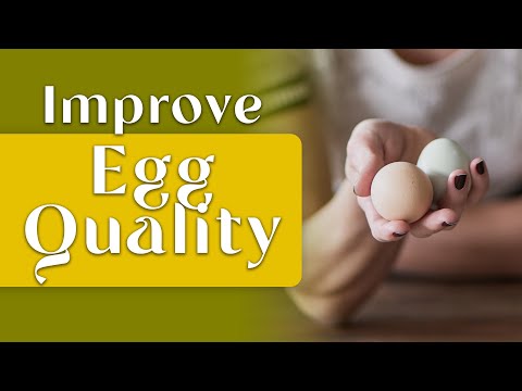 Best Ways to Improve Egg Quality Naturally