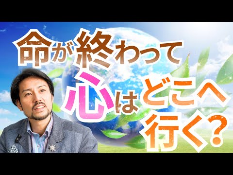 テストの「The Bold Squire」: 創造性に満ちています