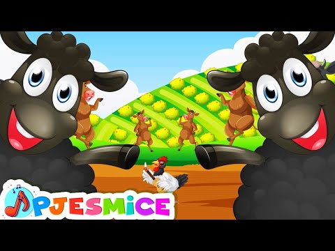 DJEČJE PJESME ♫ *Crna ovco, da li imaš vune?* 🐑 Edukativna pjesmica za vrtić