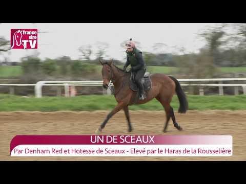 Willie Mullins about UN DE SCEAUX