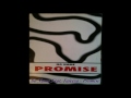 No Name feat. Taleesa - Promise (Velocity Mix)
