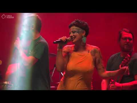 francisco, el hombre + BRAZA : : Batida do Amor : : Circo Voador