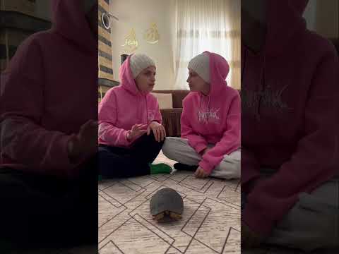 سلحفاة سكرانة نانو وام سيف