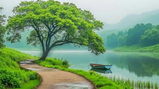 Красивая расслабляющая музыка 🌿 Эмоциональное равновесие, музыка для снятия стресса, музыка для сна