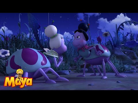 Thekla holds her own - Maya the bee🐝🍯🐝