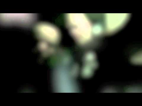 E.N.R.P. - LIIAN ISOT PUHEET FEAT.PANAMA RAYO