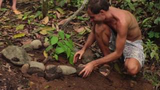 All my relations (Sound of Light, Diamante book no. 33)