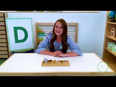 “D” is for Dogs! | Animal Facts with Playgarden Online | Preschool Learning Videos for Toddlers