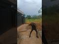 Nacee - Prayer Interlude (Extended version) Dance video