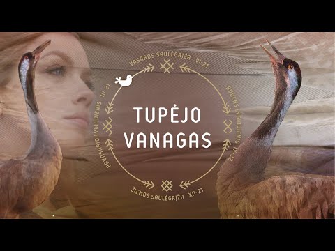 Tupėjo vanagas. Sutartinė / Dainos ir sutartinės apie paukščius 2021