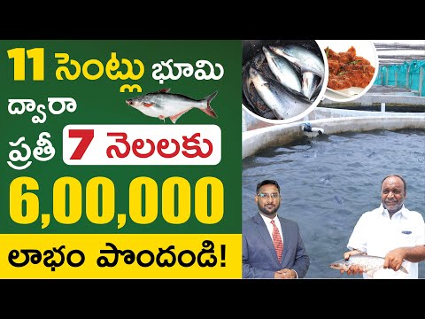 , title : 'RAS Fish Farming In Telugu - How To Start Pangasius Fish Farming in RAS System | Kowshik Maridi'