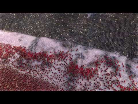 20.000 WW2 US SOLDIERS vs 50.000 SPARTANS - Ultimate Epic Battle Simulator