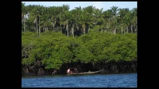 Natalie Imbruglia - Identify