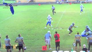 DEANDRE GEE BEASTMODE RUN OF THE WEEK VS FERNANDINA
