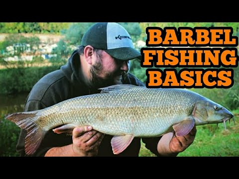 BARBEL FISHING FOR BEGINNERS