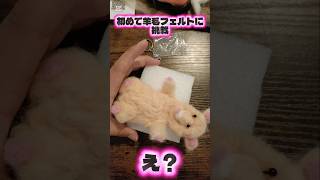 【羊毛フェルト】失敗#羊毛フェルト作品 #needlefelting #失敗作