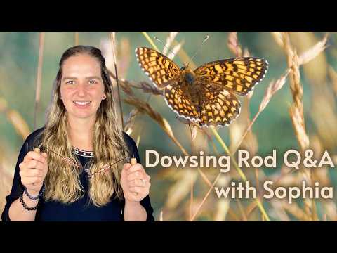 Dowsing Rod Q&A with Sohpia