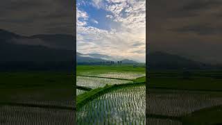 Download lagu Sumbawa Indah ! Pagi Hari Indah Di Sumbawa dengan hamparan sawah dan sunrise #naturevibes #sumbawa mp3