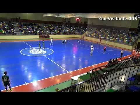 Goles Elche CF Sala - Real Betis  17/18 Jornada 25 LNFS 2ª División