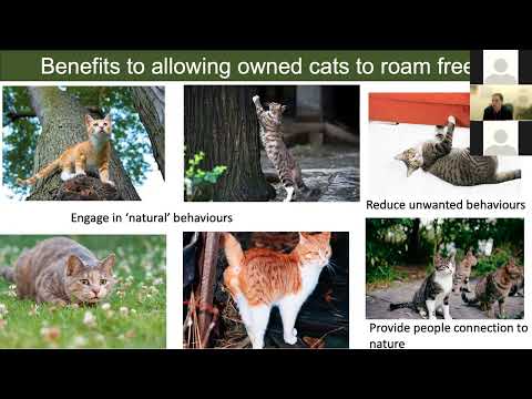 Studying Free Ranging Cat-Wildlife Interactions with Dr. Elizabeth Gow