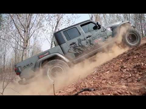 Ver video