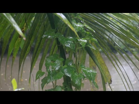 Очень грустная и трогательная мелодия До слез! ОНА ОДНА! Музыка Эдгар Туниянц