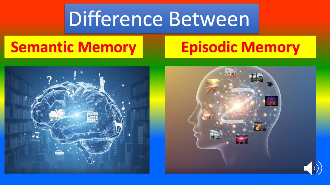 Differences Between Semantic Memory  And Episodic Memory