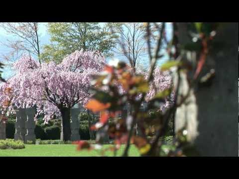 Firmenportrait Enea GmbH, Rapperswil-Jona