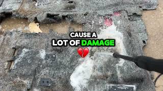 Car Mold Removal - Full Remediation