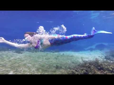 Promotional video thumbnail 1 for Mermaid Serena Bass