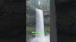 Download lagu Al Fatihah (Syekh Raad Muhammad Al-Kurdi) #shorts #murottal mp3