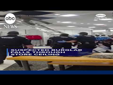 Suspected burglar falls through store ceiling