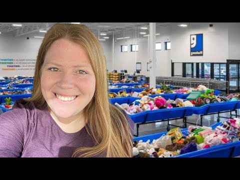 Goodwill Bins Haul to Sell on Whatnot