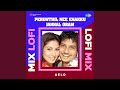 Perunthil Nee Enakku Jannal Oram Lofi Mix