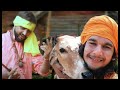 Do Roti Gau Mata Ki Sandeep Kithana Gau Mata Bhajan