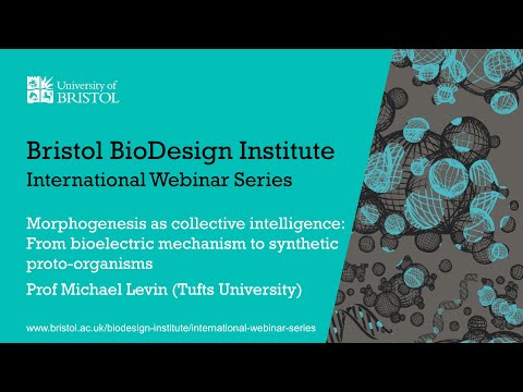 BBI International Webinar Series - Professor Michael Levin (Tufts University)