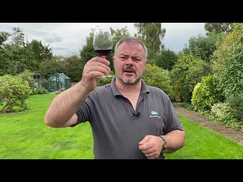 Wine Review: Masi Campofiorin Verona Rosso IGT 2019