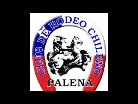 "Serie Campeones" Rodeo Palena
